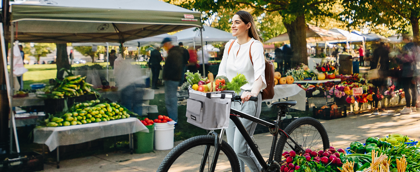 Collapsible Shopping Basket