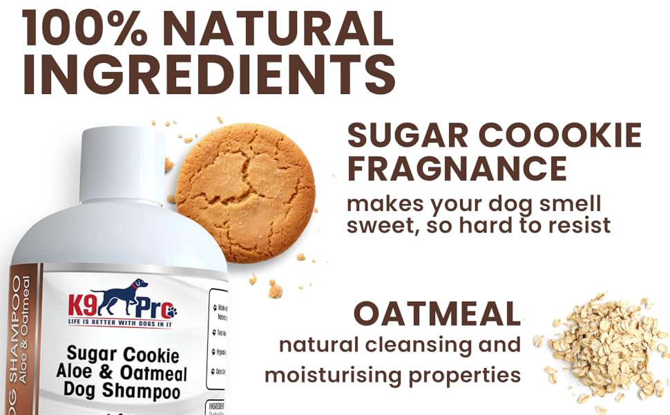 Sugar Cookie Shampoo