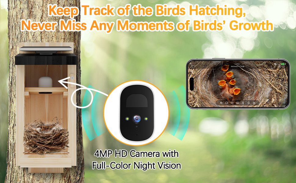 Bird House with Camera Solar Powered Birdhouse Camera & Feeder, 4MP 2K Full Color Night Vision
