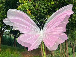 silk butterflies