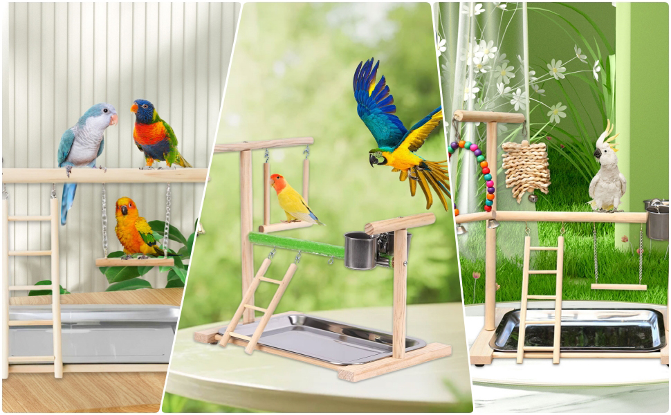 Amazon | インコ 遊び場 鳥の遊び場 止まり木 鳥用 遊び場