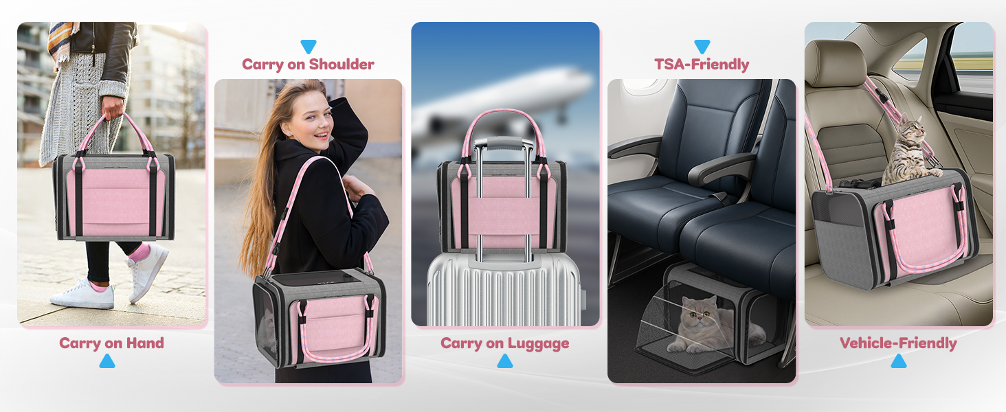 dog airplane carrier approved