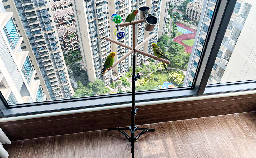 bird play stand