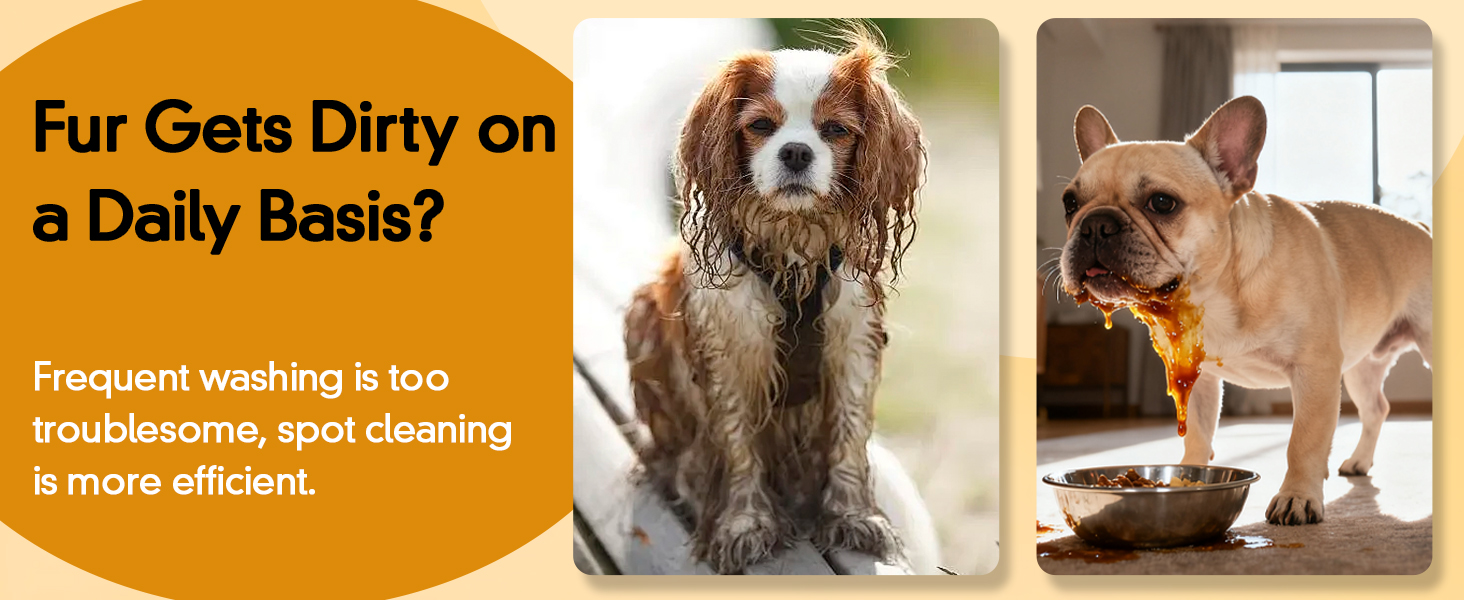 dry shampoo for dogs