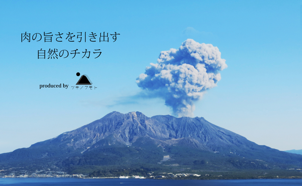 Amazon.co.jp: ツキノフモト 桜島 溶岩プレート 桜島の溶岩を