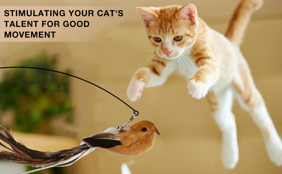 YANXIXUE 4 Birds and 2 Cat Wands Toy for Indoor cat