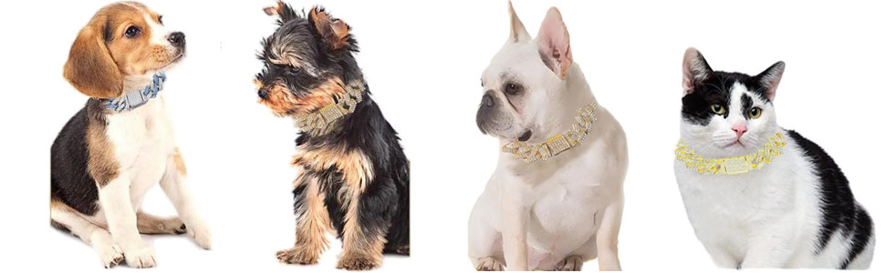 dog necklace