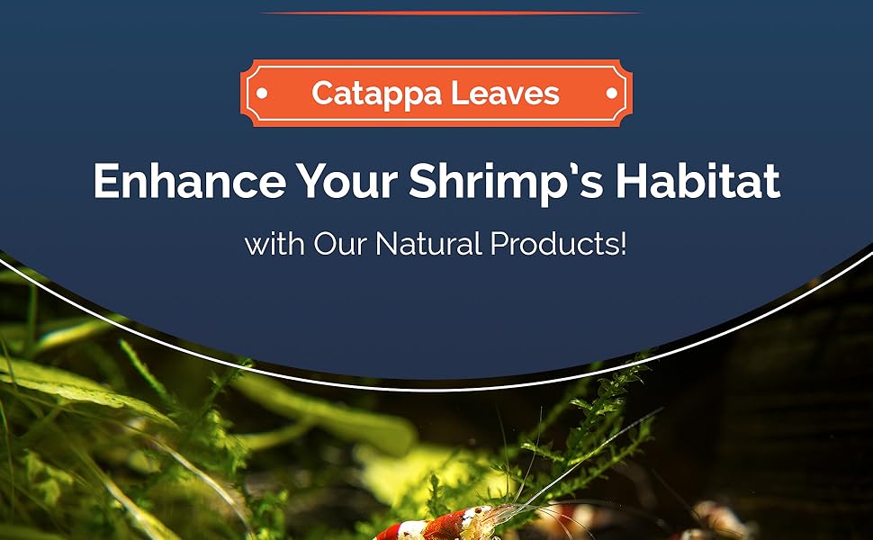 Balance your tank's pH naturally! Our pH down aquarium lollies help maintain an ideal habitat.