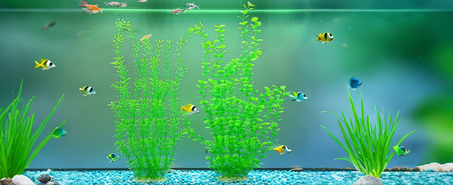 fish tank decorations