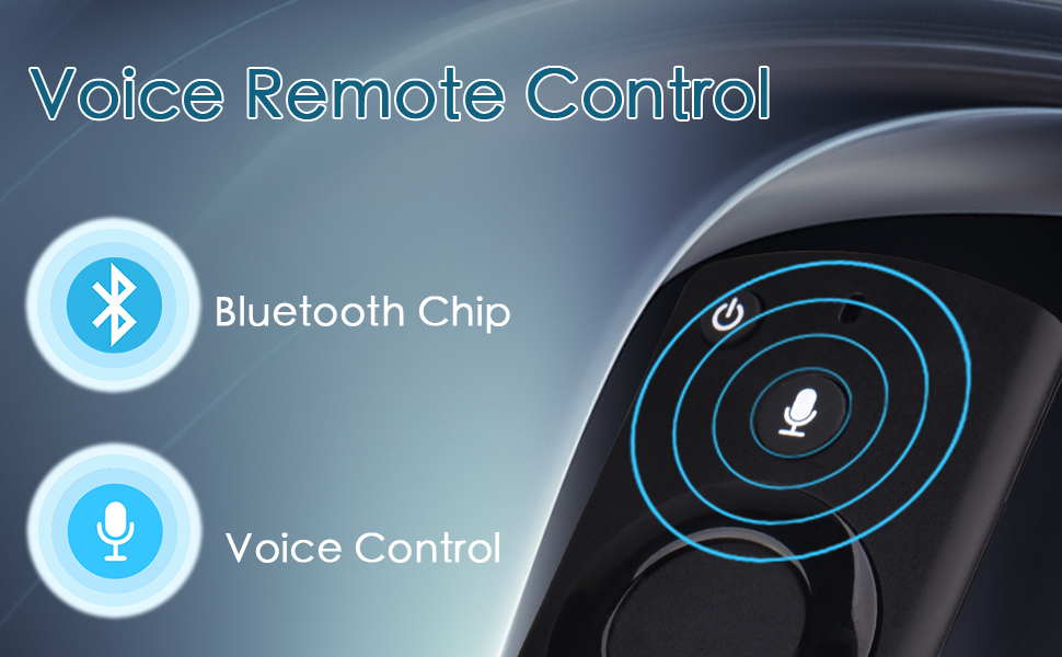 Voice remote