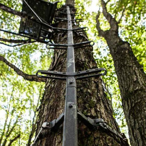 Small manufacture image 1