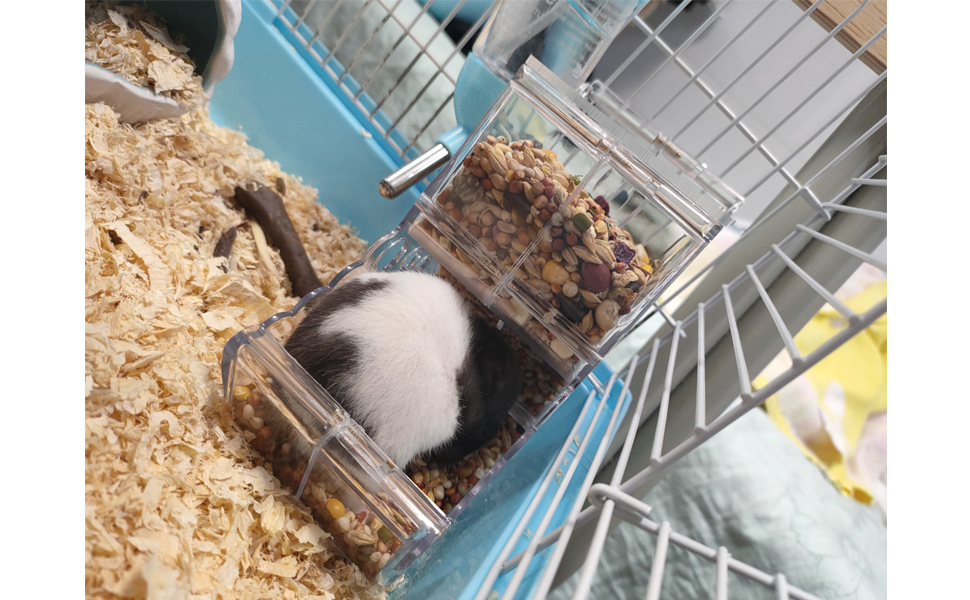 Hamster Automatic Feeder