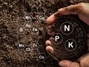 Small manufacture image 3