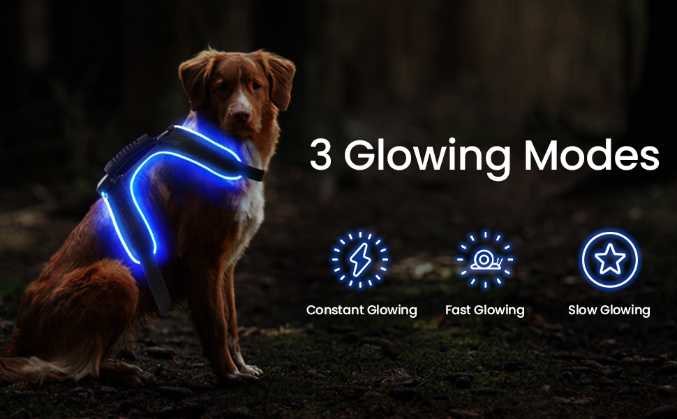 MASBRILL Led Dog Harness No Pull Light Up Dog Harness
