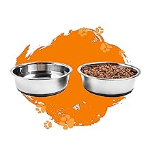 Pet Supplies Mighty Paw Stainless Steel Dog Bowls Steel Bowl Set