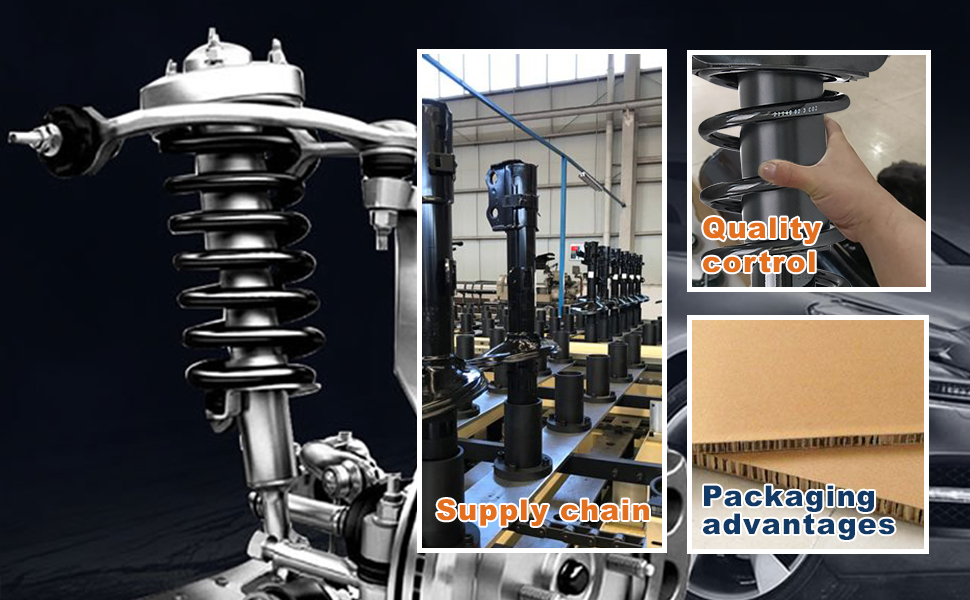 Front Complete Coil Spring Strut