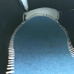 ■ボロネーゼ製法