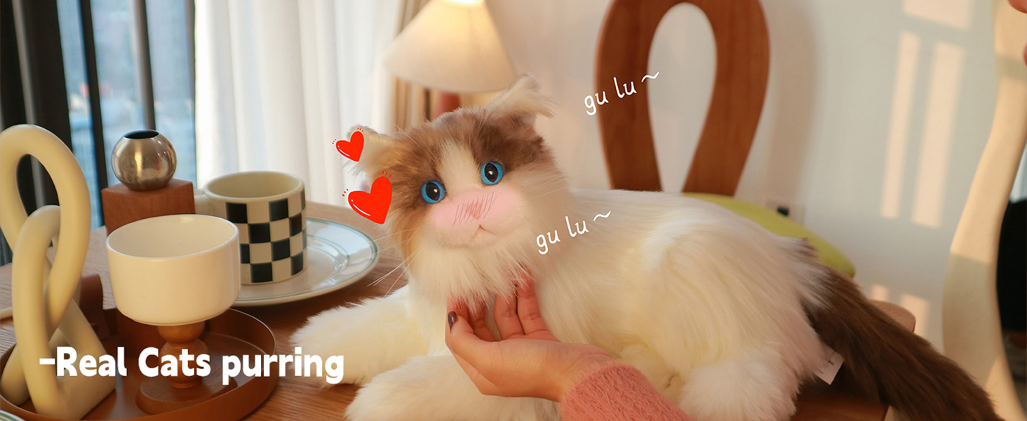 Chat interactif