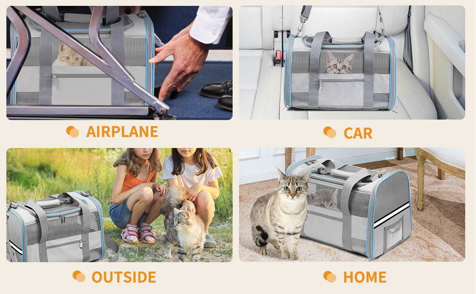 cat carriers for small cats under 15
