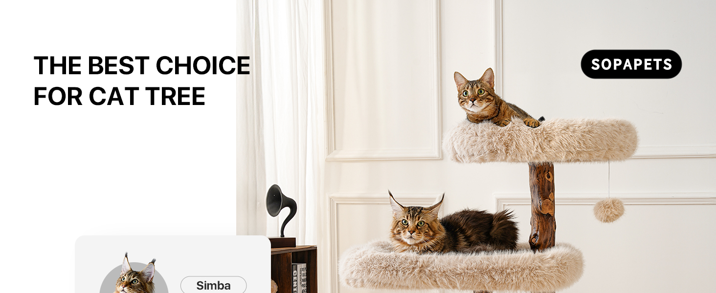 The best choice for cat tree