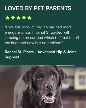 wuffes hip and joint