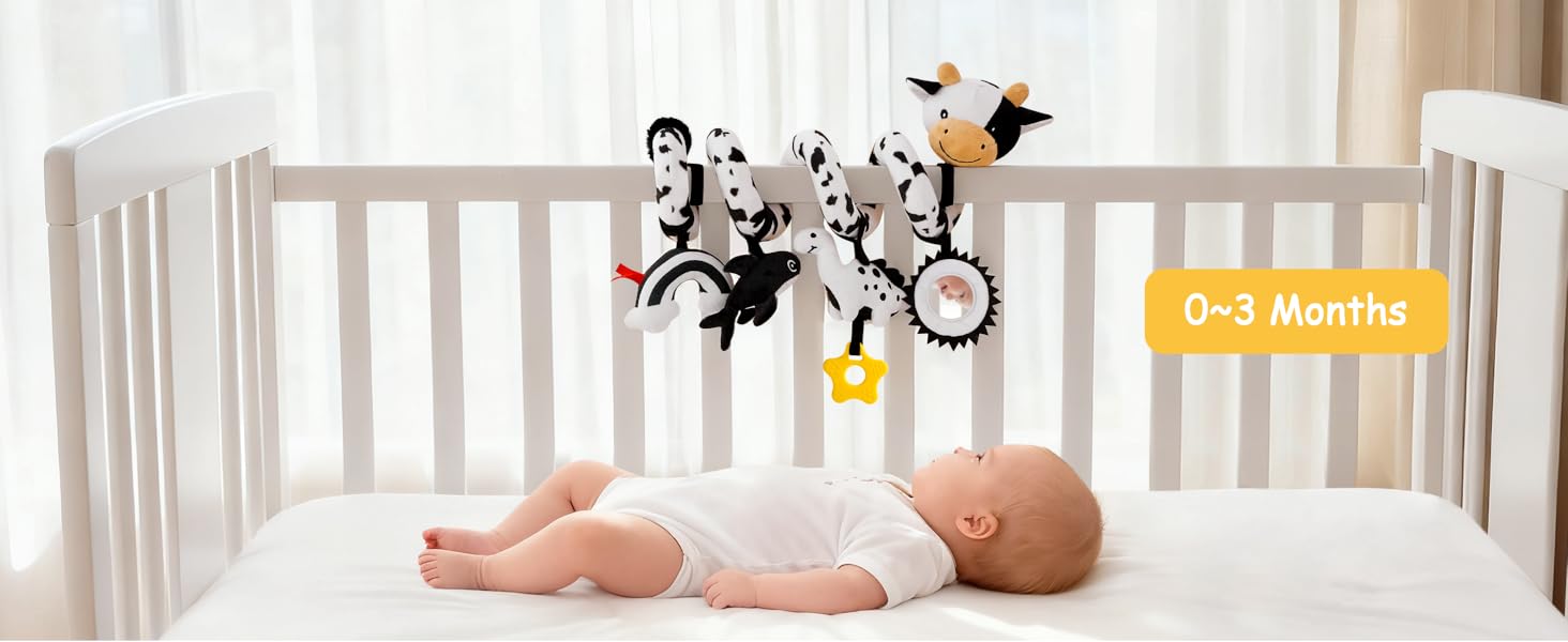 baby toys 0-6 months