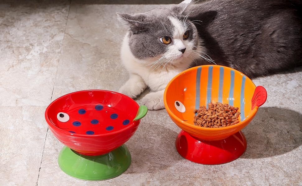 Chubacoo Raised Cat Bowl Set Elevated Ceramic Cat Food