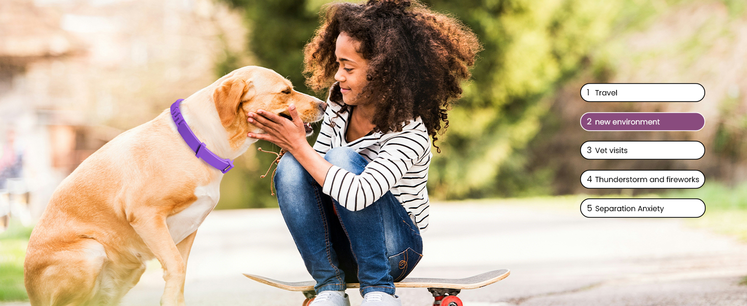 Calming Collar for Dogs