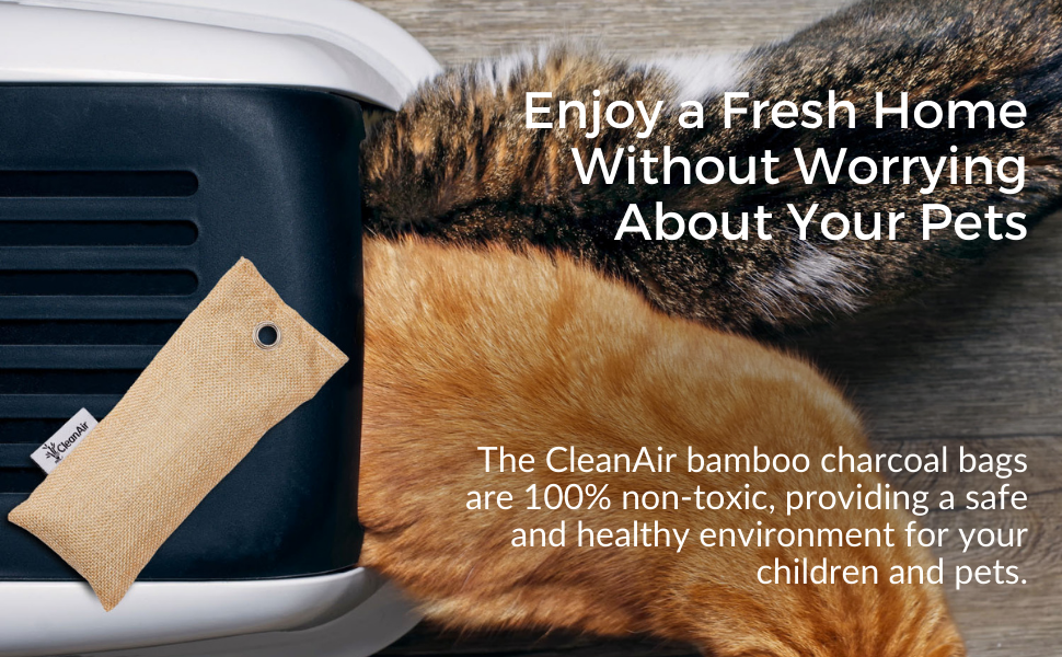 12 Pack Bamboo Charcoal Air Purifying Bag, Activated