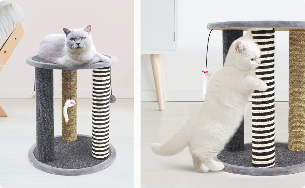 SONGWAY Cat Scratching Post Tree - Cat Tree with 3 Scratching Poles and Dangling Balls, Carpeted Base and Perch, Interactive Scratcher Toy for Indoor Cats Kittens, Grey 35 06