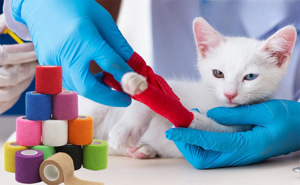 Self Adhesive Bandage Wrap