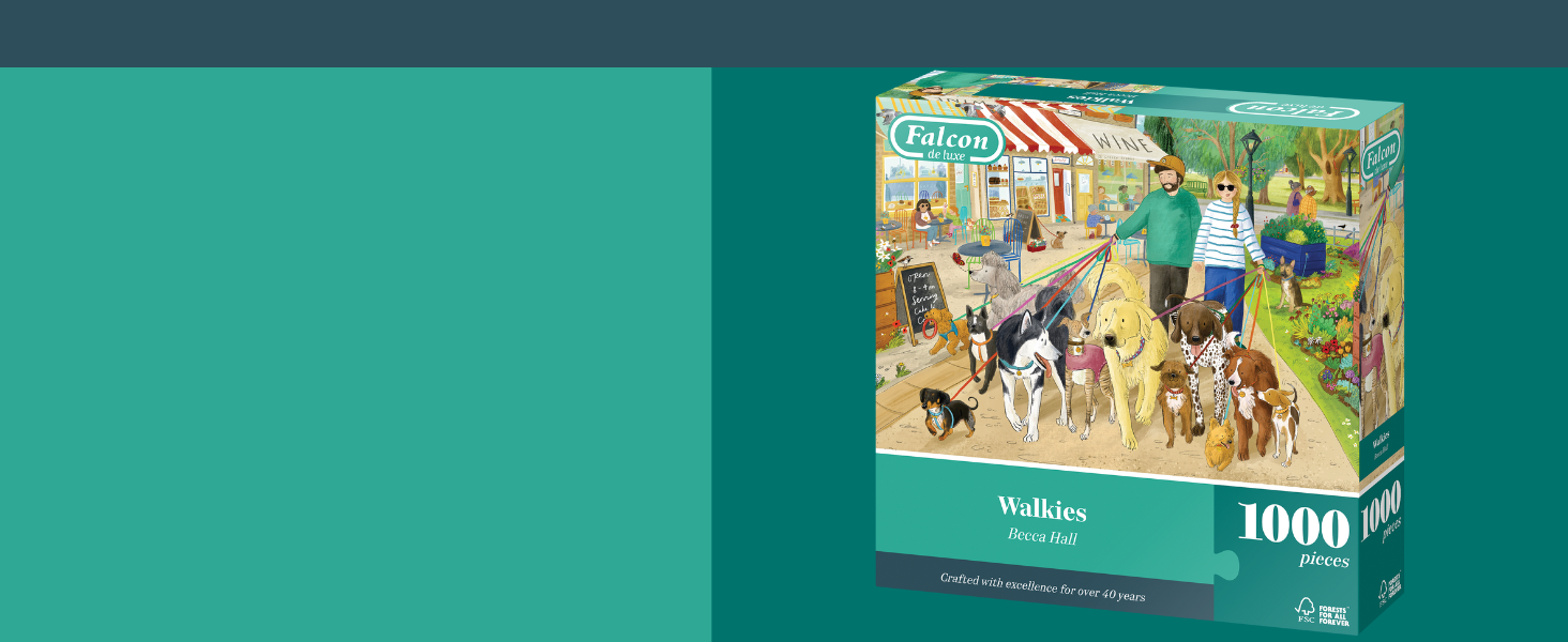 Falcon Walkies Puzzle Box Image