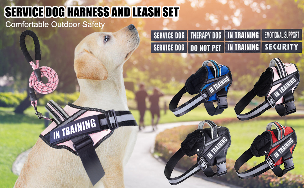 Service Dog Vest Harness and Leash Set, Animire in