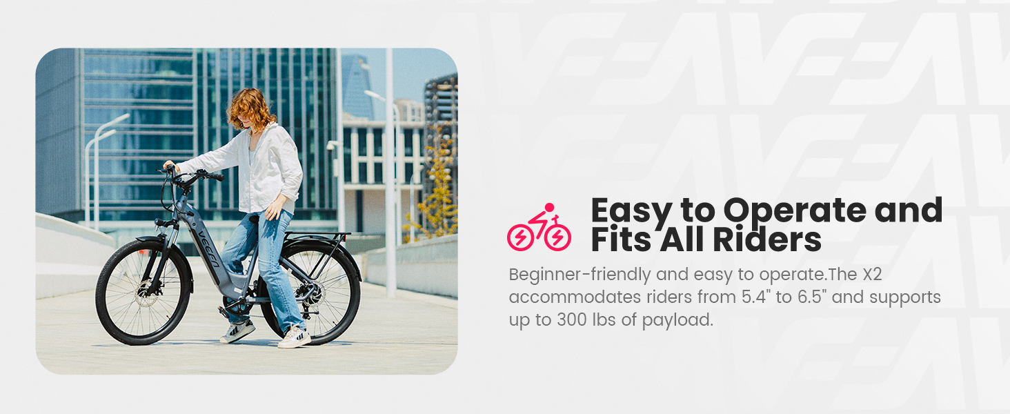 veefa electric bike