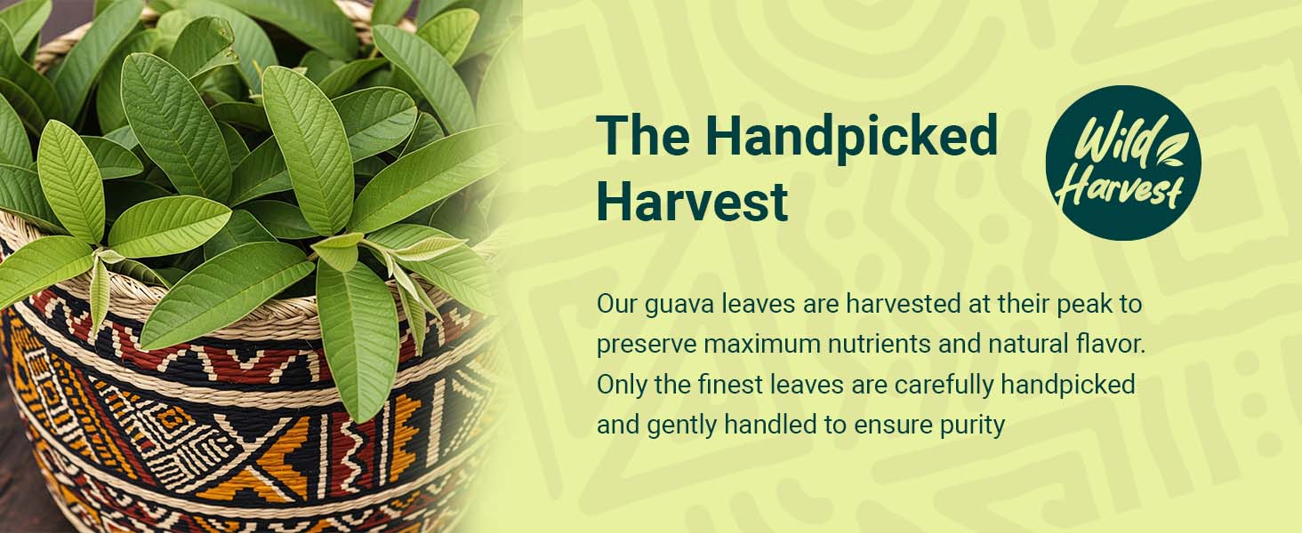 Hand Harvested