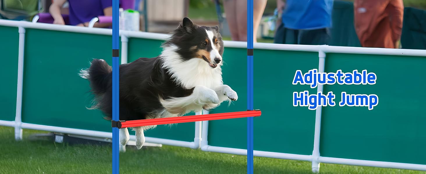 dog tunnel