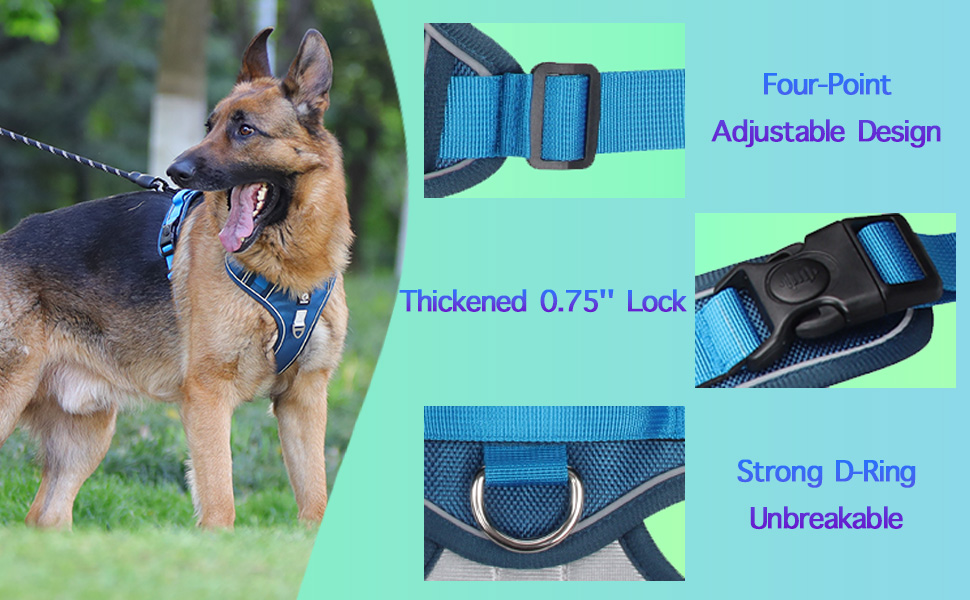 AKEISHE Dog Harness and Leash Set with Handle Adjustable