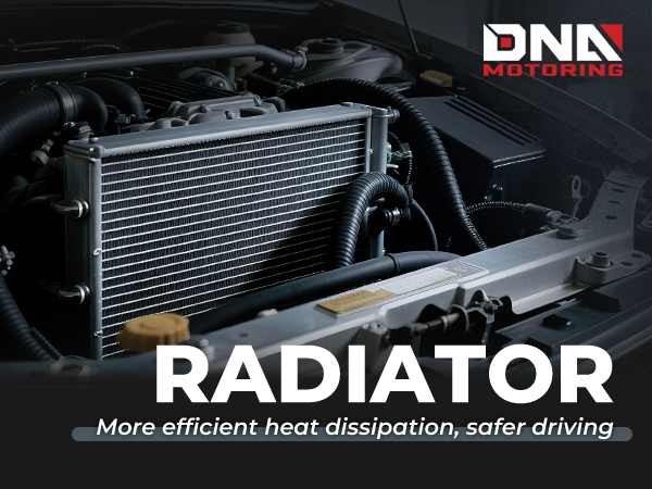 Rei REI Co-op Midweight Long-Sleeve Base Layer Top - Men's | REI