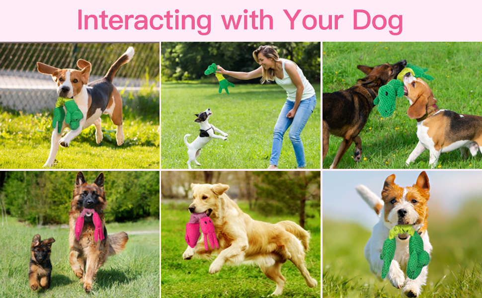 dog toys for large dogs
