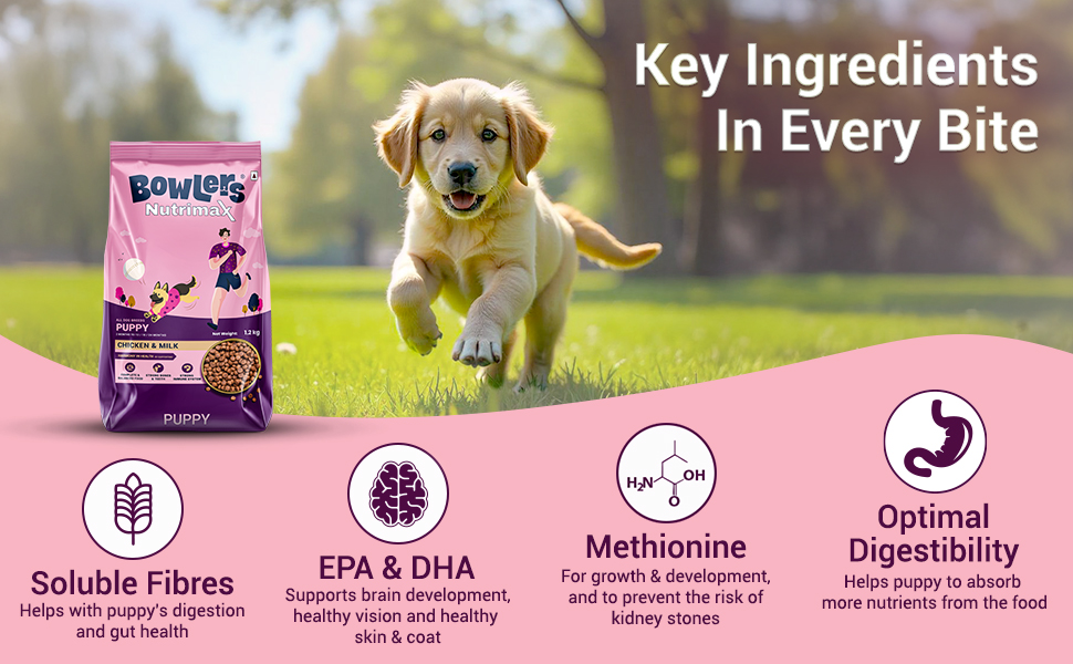 Bowlers Nutrimax Dry Dog Food Puppy Food, Promotes Brain & Vision Development, Optimal Digestibility