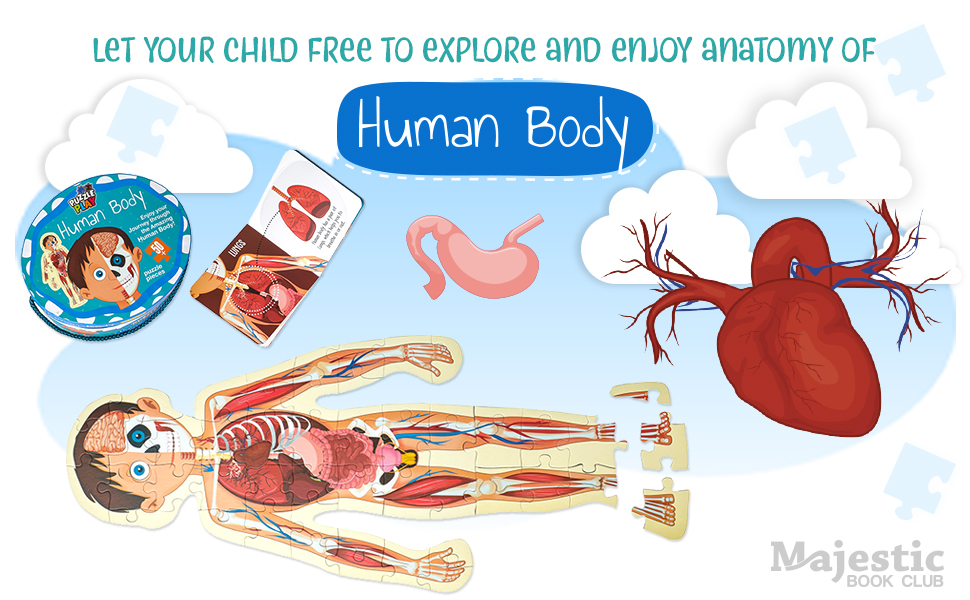 Human Body Jigsaw Puzzle for kids