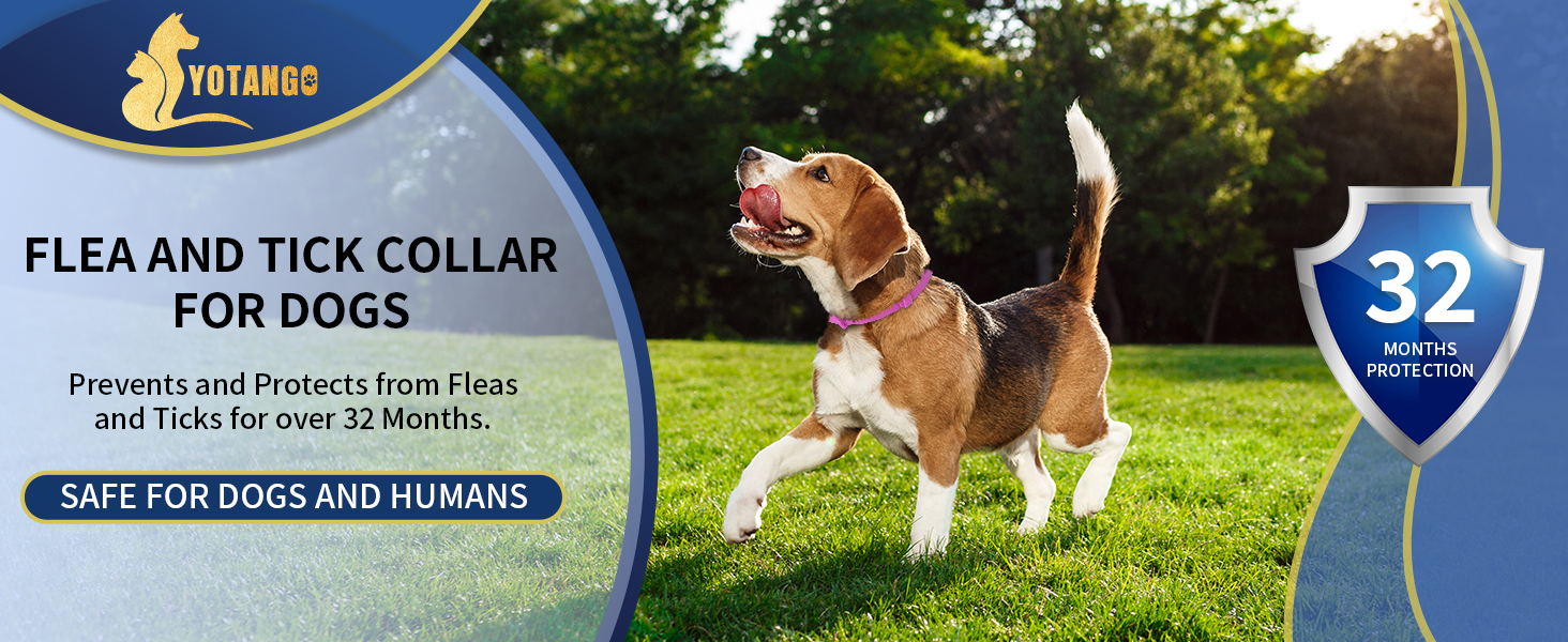 flea and tick collar for dogs