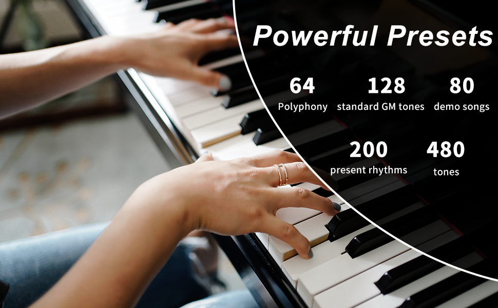 HEXANT 88Key Weighted Digital Piano, FullSize Semi