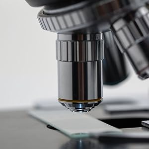 science Ansatz artgerecht Froschung