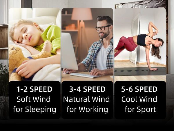 6 speed wind