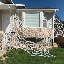 spider webbing