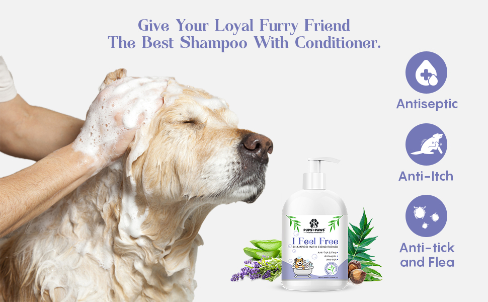 Buy Pups & Paws Ease Up Combo I Feel Free Shampoo with Conditioner
