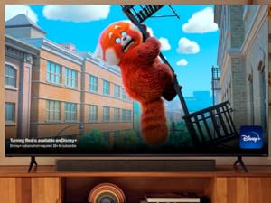 VIZIO sound bar 