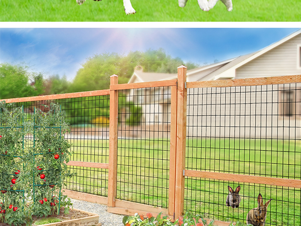 【英国】 ギャラリートレー オーバル型 45cm 　 装飾フット 大型 Amazon.com : FOREHOGAR Black PVC Coated Welded Wire Fence 56