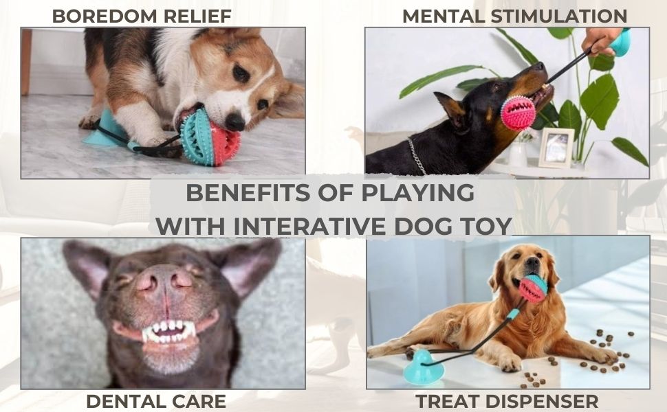 Dog Puzzles for Smart Dogs dog treat toys to keep them busy dog brain stimulation puppy puzzle toys